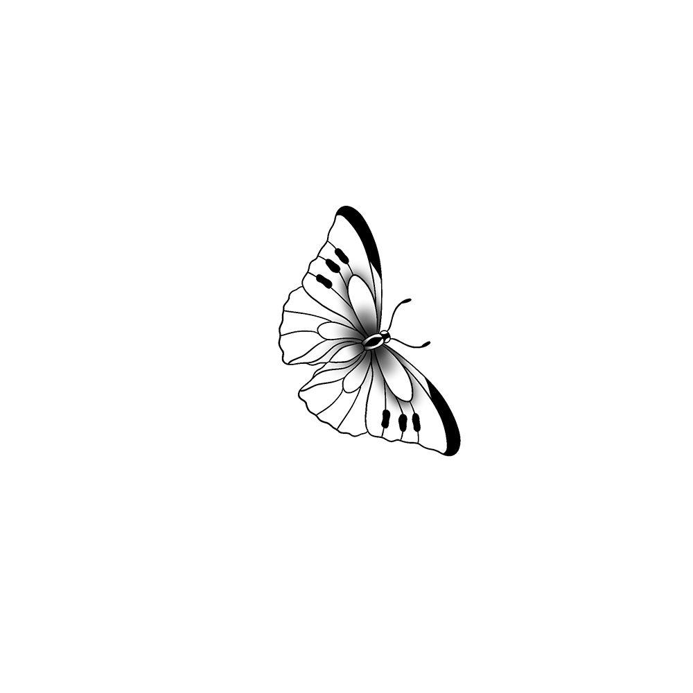 Flash tattoo Papillon 51