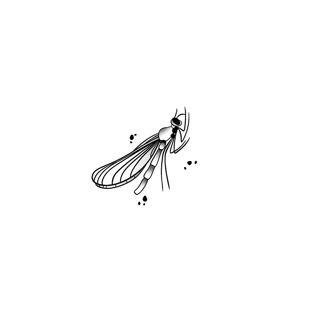 Flash tattoo Libellule 2