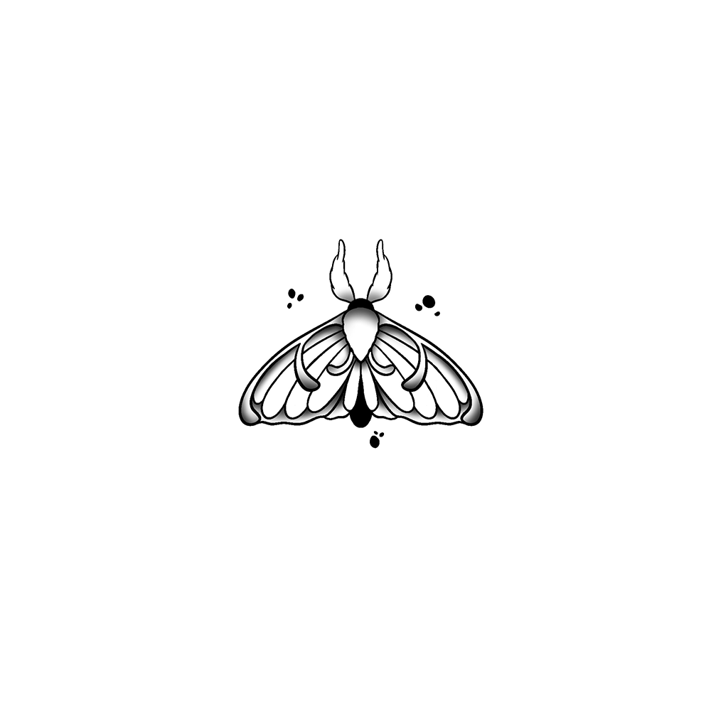 Flash tattoo Papillon 53