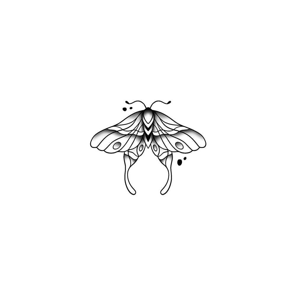 Flash tattoo Papillon 53