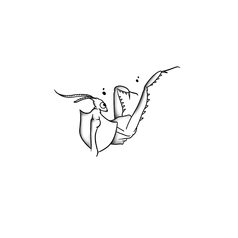 Flash tattoo Mante Religieuse 9
